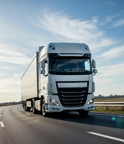 Transporte servicios